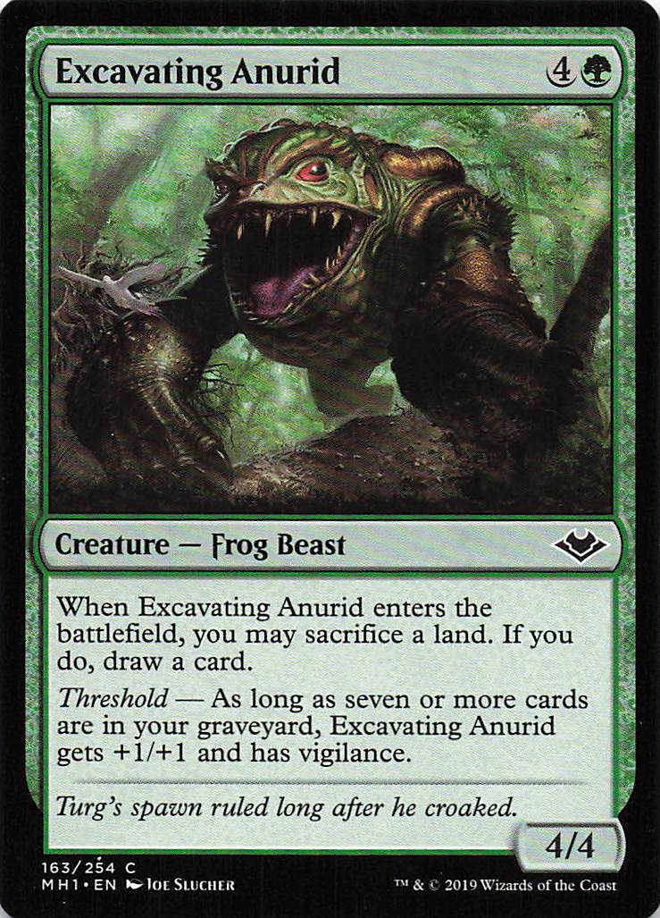 Magic The Gathering: Modern Horizons EN: #163 Excavating Anurid