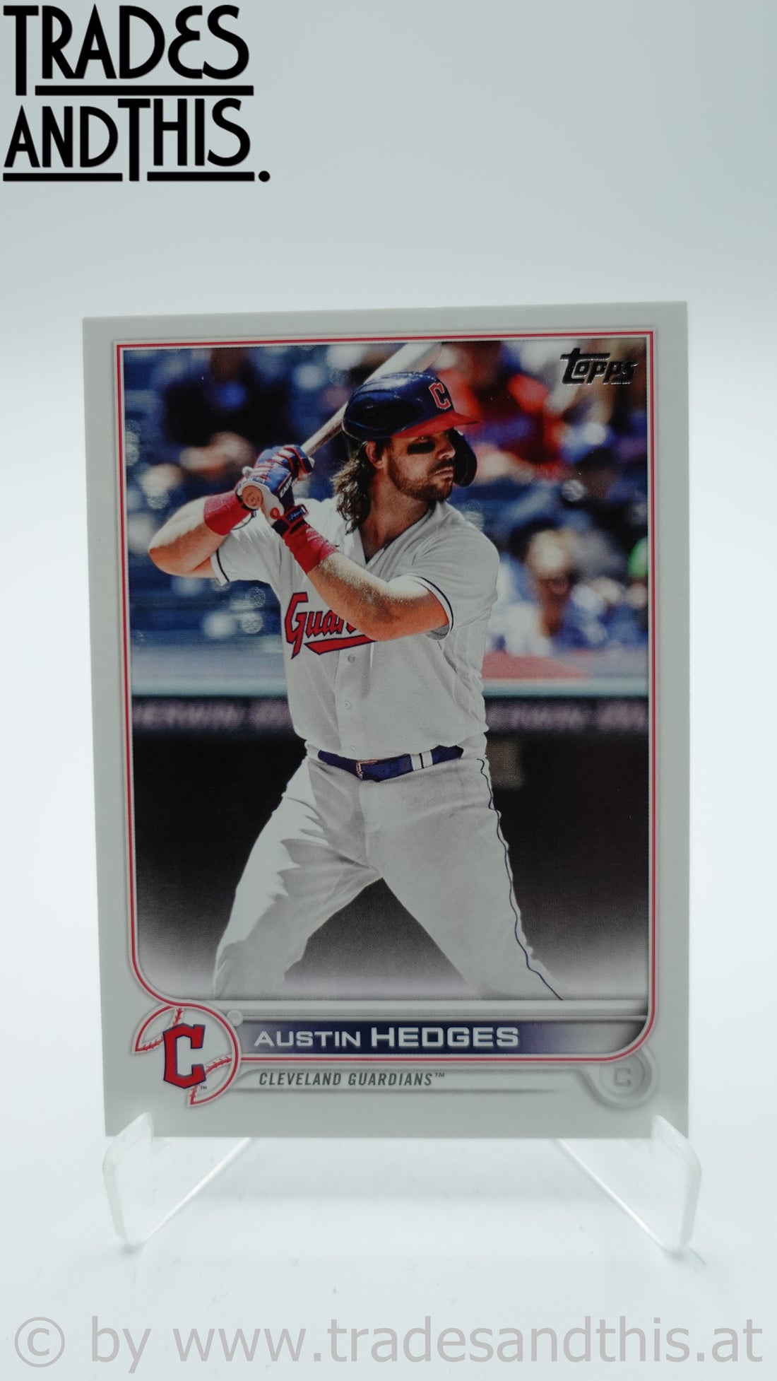 2022 Topps Series 1 Austin Hedges #65