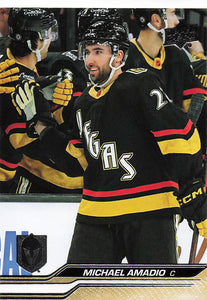 2023-24 Upper Deck Series 2 Michael Amadio #433