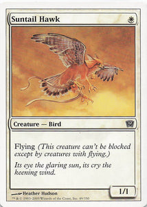 Magic The Gathering: 9th Edition EN: #49 Suntail Hawk