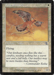 Magic The Gathering: Judgement EN: #28 Suntail Hawk