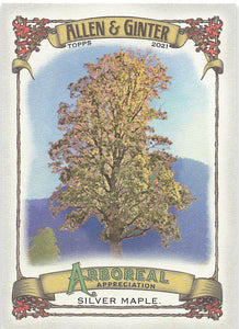 2021 Topps Allen & Ginter Arboreal Silver Maple #AA-3