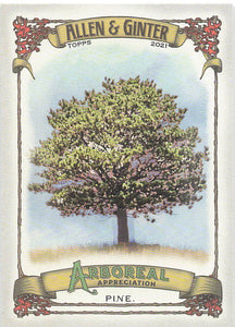 2021 Topps Allen & Ginter Arboreal Pine #AA-12