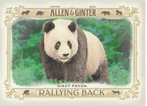2021 Topps Allen & Ginter Rallying Back Giant Panda #RB-2
