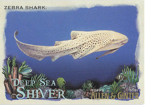 2021 Topps Allen & Ginter Deep Sea Shiver Zebra Shark #DSS-14