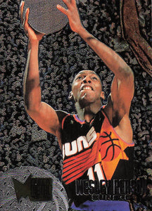 1995-96 Fleer Metal Wesley Person #88