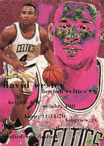 1995-96 Fleer David Wesley #12