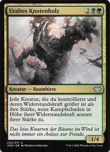 Magic The Gathering: Innistrad: Blutroter Bund DE: #230 Uraltes Knotenholz