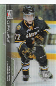 2013-14 In the Game Heroes and Prospects Anthony DeAngelo #190