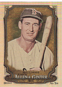 2024 Topps Allen & Ginter Silver Portrait Ted Williams #252