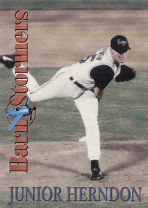 2001 Royal Rookies Throwbacks BarnStormers Junior Herndon #B8