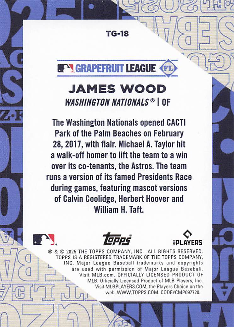 2025 Topps Baseball Training Grounds James Wood #TG-18