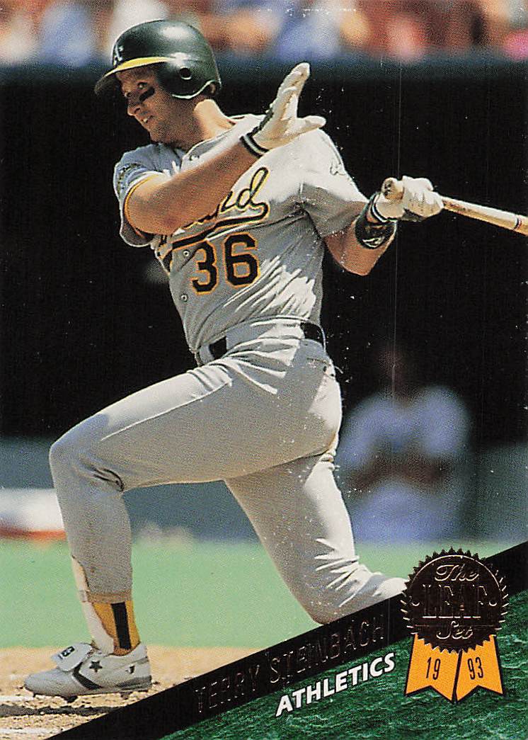 1993 Leaf Baseball Terry Steinbach #7