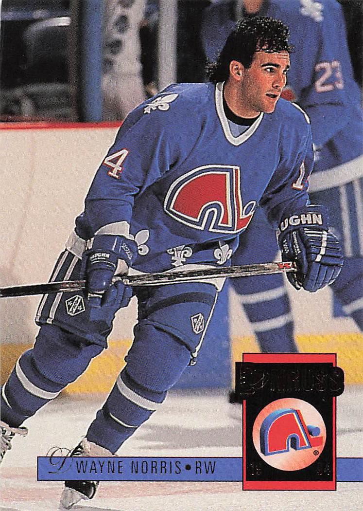 1993-94 Donruss Hockey Dwayne Norris #480 Rookie
