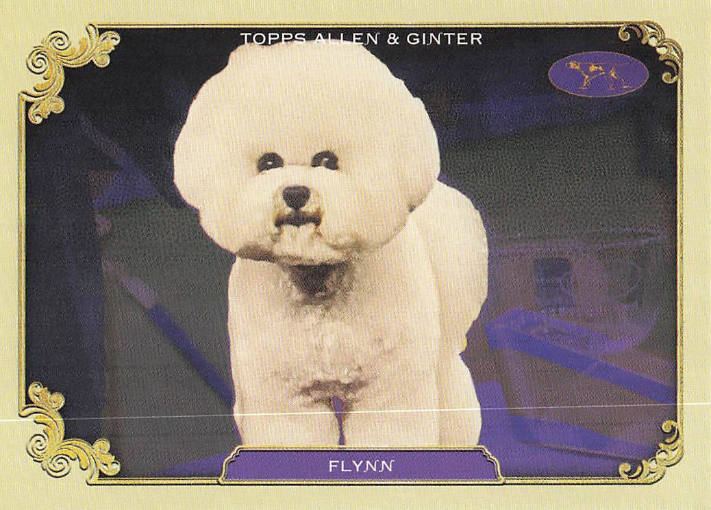 2024 Topps Allen & Ginter The Westminster Kennel Club Flynn #SOS-15