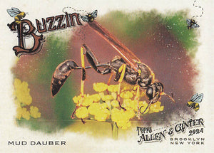 2024 Topps Allen & Ginter Baseball Buzzin' Mud Dauber #BUZ-1
