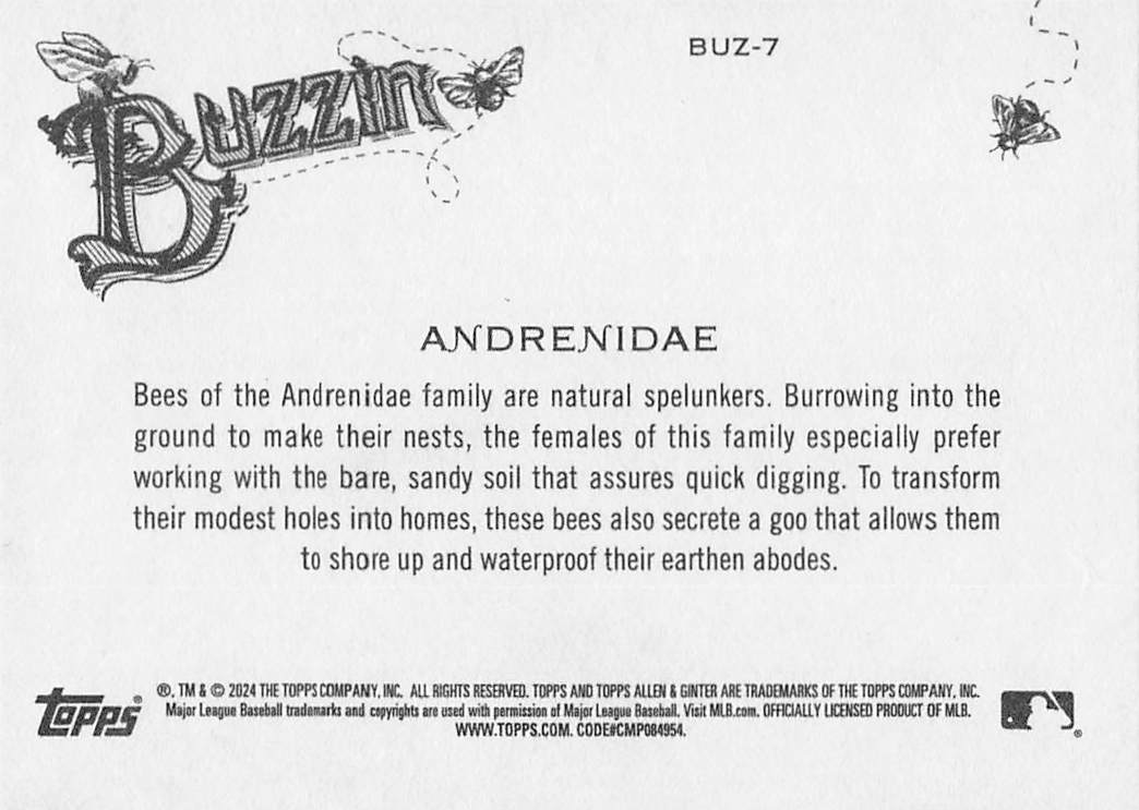 2024 Topps Allen & Ginter Baseball Buzzin' Andrenidae #BUZ-7