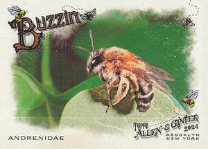 2024 Topps Allen & Ginter Baseball Buzzin' Andrenidae #BUZ-7