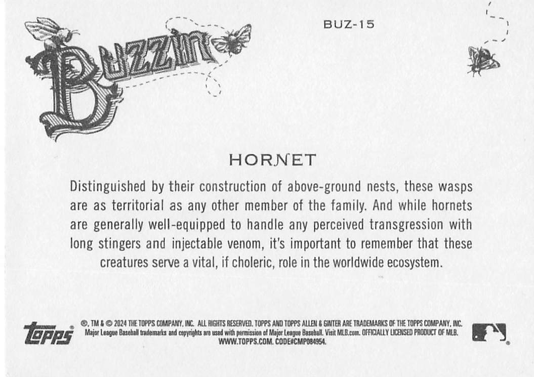 2024 Topps Allen & Ginter Baseball Buzzin' Hornet #BUZ-15
