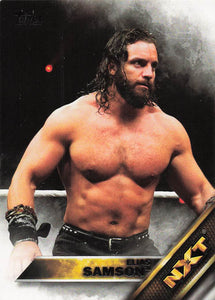 2016 Topps WWE Then Now Forever Wrestling NXT Prospects Elias Samson #7