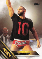 2016 Topps WWE Then Now Forever Wrestling NXT Prospects Tye Dillinger #15