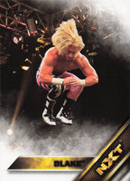 2016 Topps WWE Then Now Forever Wrestling NXT Prospects Blake #5