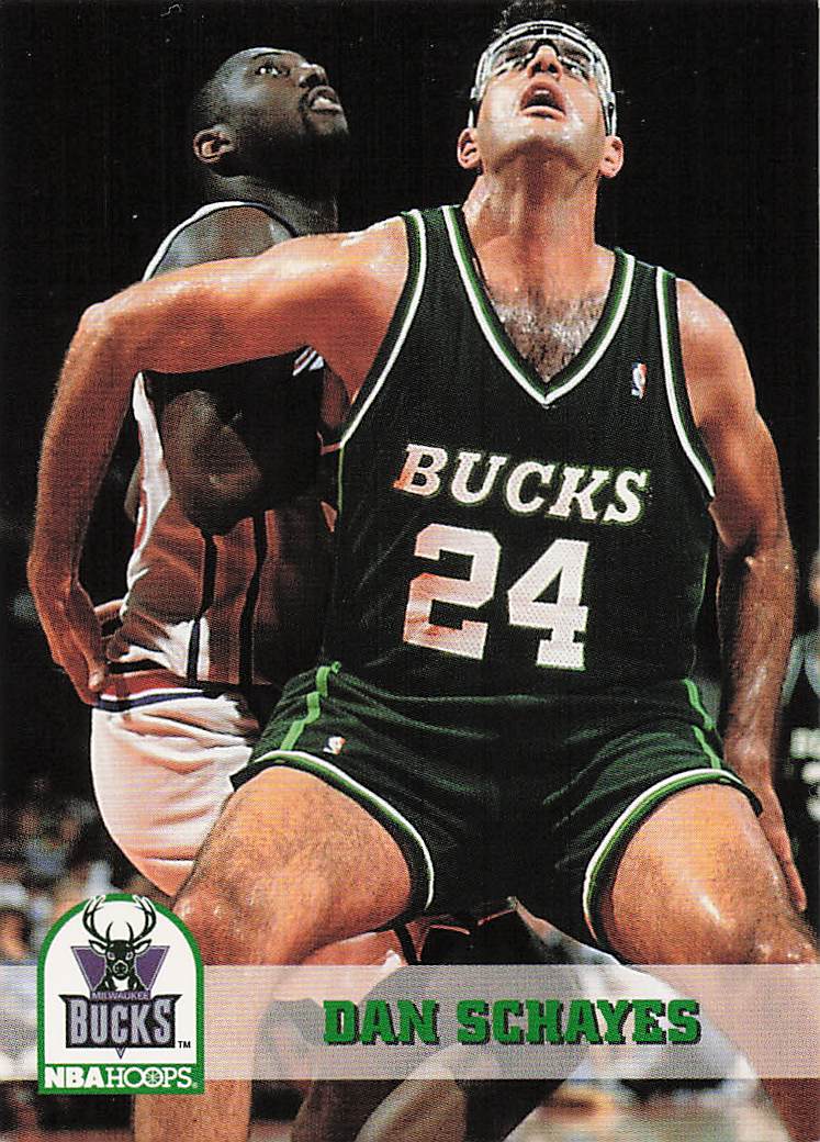 1993-94 Hoops Basketball Dan Schayes #365