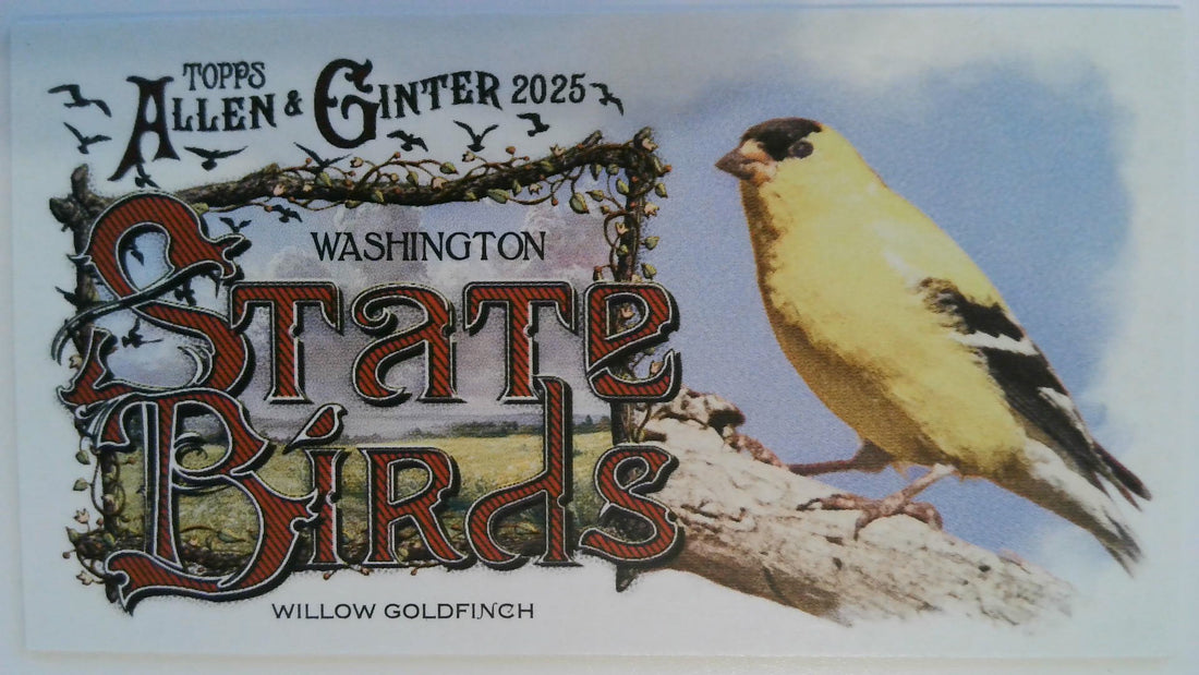 2025 Topps Allen & Ginter Baseball State Birds Mini Willow Goldfinch #SB-47