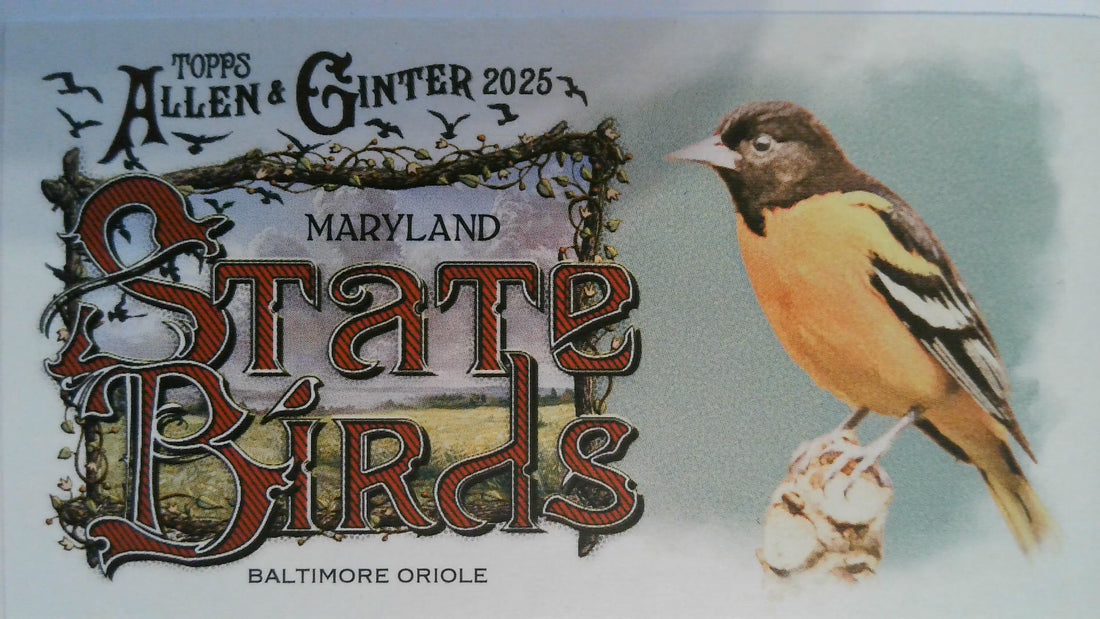 2025 Topps Allen & Ginter Baseball Mini State Birds Baltimore Oriole #SB-20