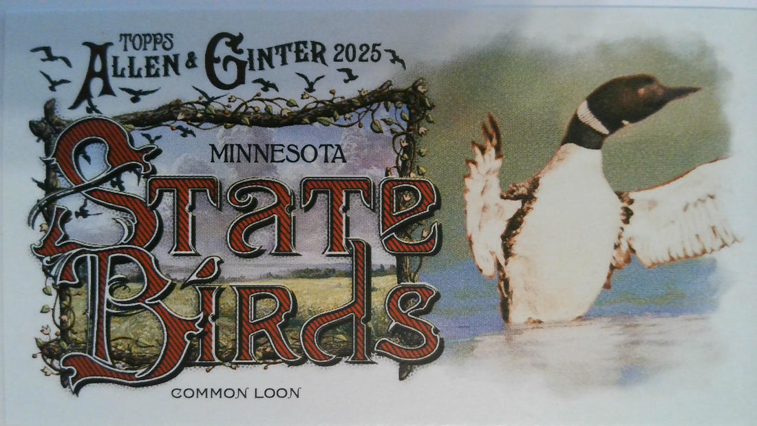 2025 Topps Allen & Ginter Baseball Mini State Birds Common Loon #SB-23