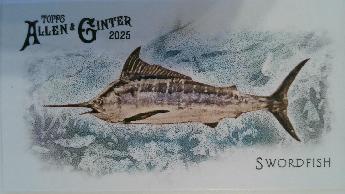 2025 Topps Allen & Ginter Mini 50 Fishes from Global Waters Swordfish #FGW-23