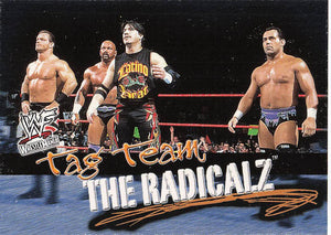 2001 Fleer WWF Wrestlemania Wrestling The Radicalz #76