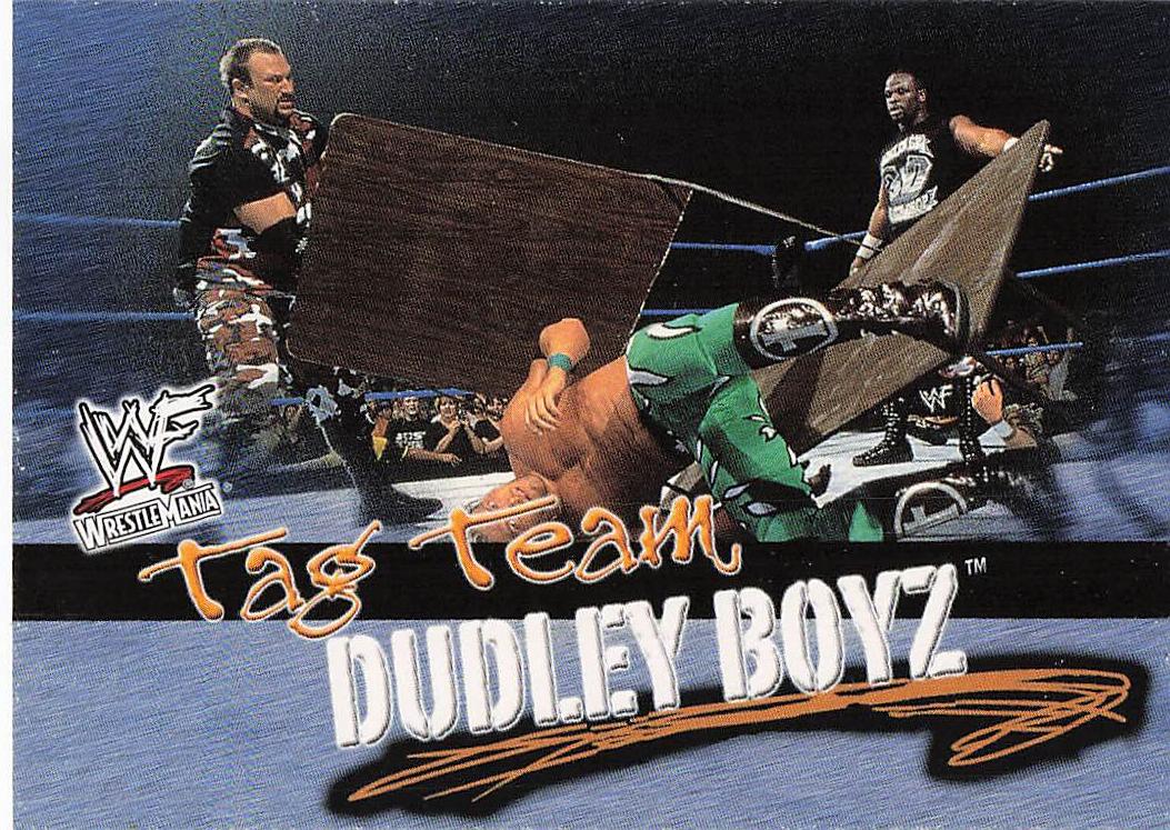 2001 Fleer WWF Wrestlemania Wrestling Dudley Boyz #73