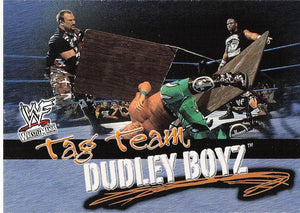 2001 Fleer WWF Wrestlemania Wrestling Dudley Boyz #73