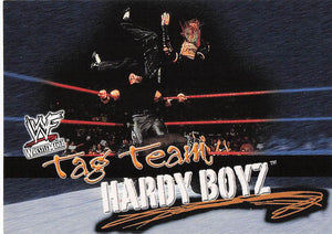 2001 Fleer WWF Wrestlemania Wrestling The Hardy Boyz #72
