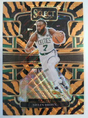 2023-24 Panini Select Basketball Tiger Prizms Jaylen Brown #22