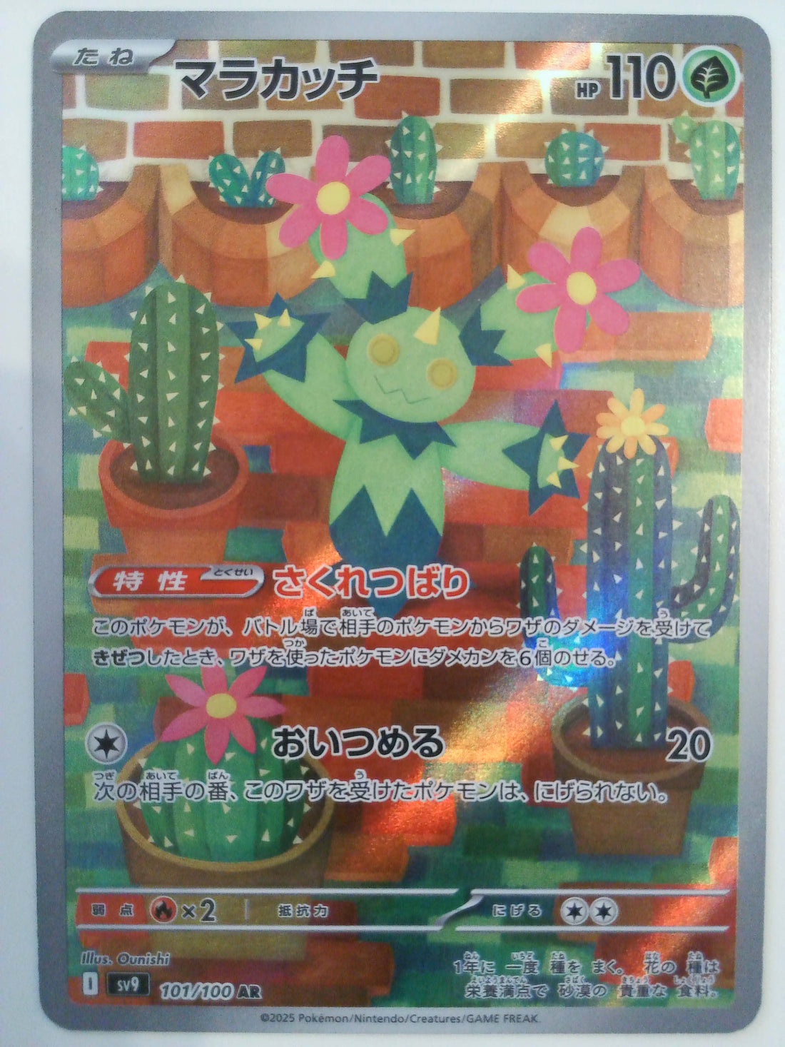 SV9: Battle Partners Maractus #101/100 Pokemon
