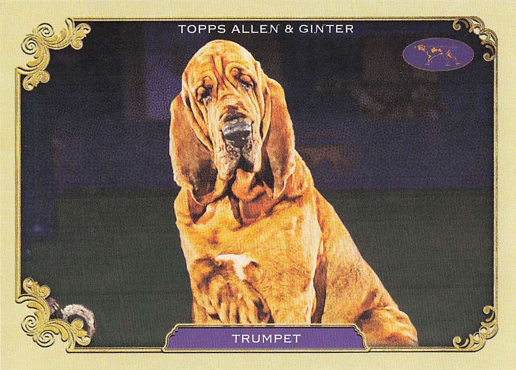 2024 Allen & Ginter The Westminster Kennel Club Trumpet #SOS-11