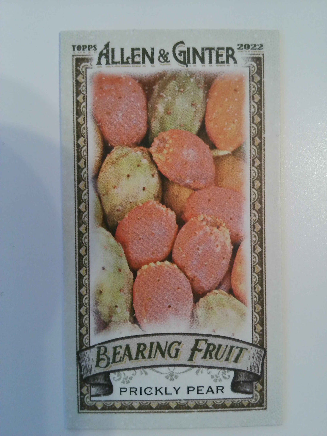 2022 Topps Allen & Ginter Baseball Mini Bearing Fruit Prickly Pear #BF-18