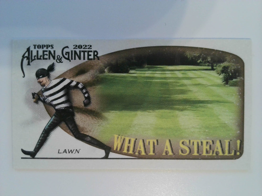 2022 Topps Allen & Ginter Baseball Mini What a Steal! Lawn #WAS-4
