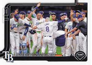 2025 Topps Baseball Tampa Bay Rays #294