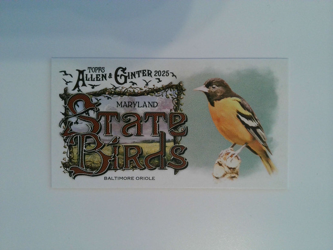 2025 Topps Allen & Ginter Baseball Mini State Birds Baltimore Oriole #SB-20