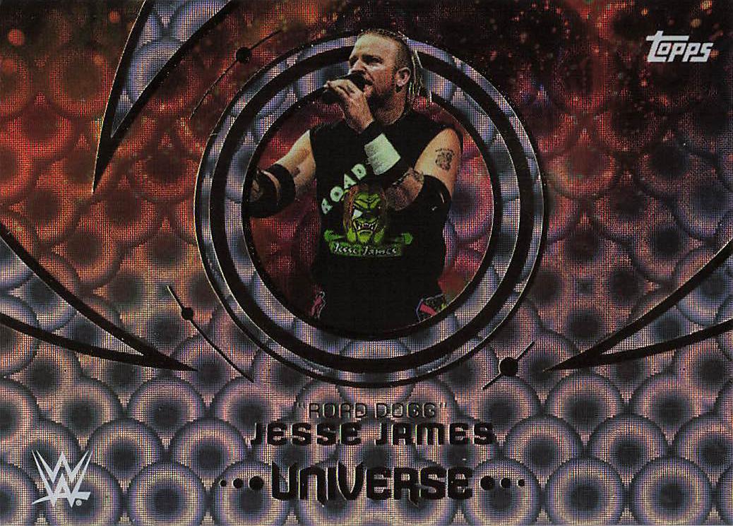 2025 Topps Universe WWE Wrestling Rings "Road Dogg" Jesse James #169