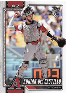 2026 Topps Baseball Adrian Del Castillo #460