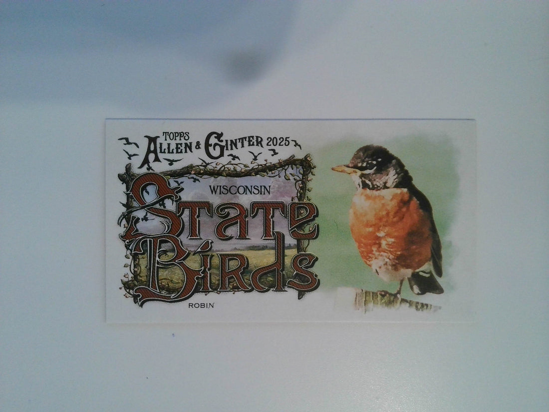 2025 Topps Allen & Ginter Baseball Mini State Birds Robin #SB-49