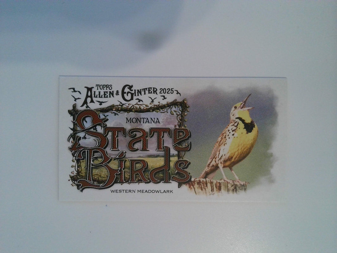 2025 Topps Allen & Ginter Baseball Mini State Birds Western Meadowlark #SB-26