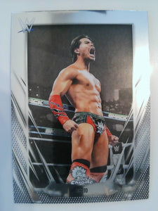 2026 Topps Chrome WWE Wrestling Berto #122