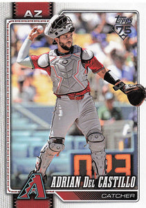 2026 Topps Baseball Adrian Del Castillo #460
