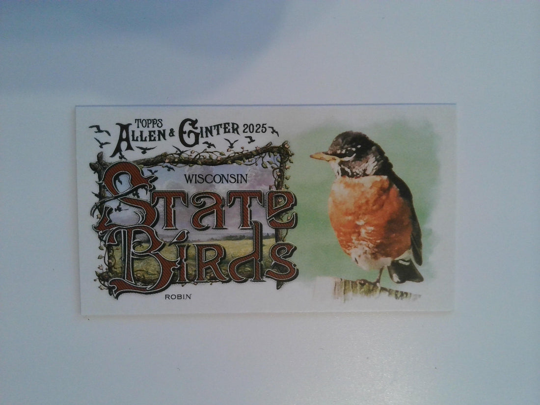 2025 Topps Allen & Ginter Baseball Mini State Birds Robin #SB-49