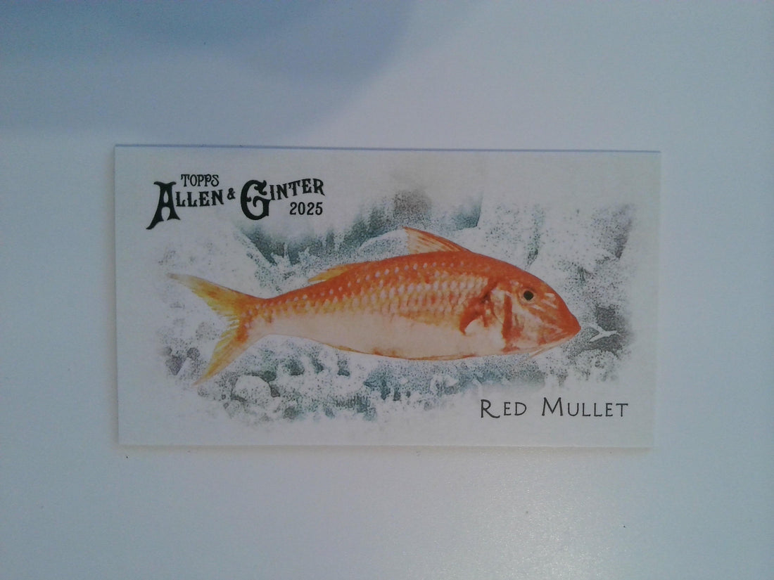 2025 Topps Allen & Ginter Mini 50 Fish from Global Waters Red Mullet #FGW-43